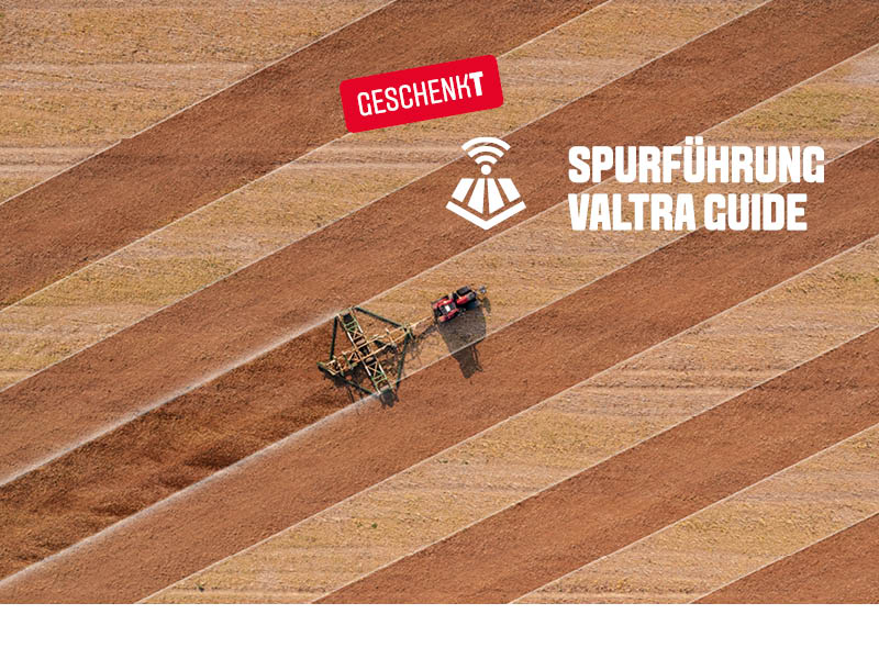 GeschenkT 800x600 3.jpg