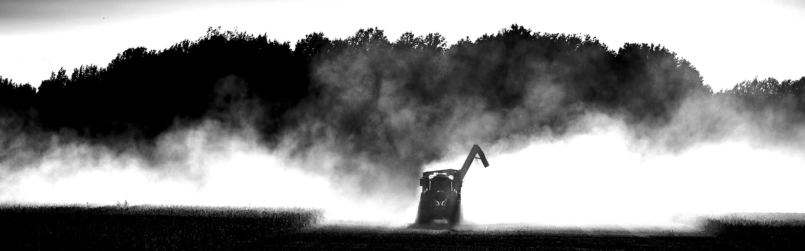 Valtra Q-Serie im Erntetransport