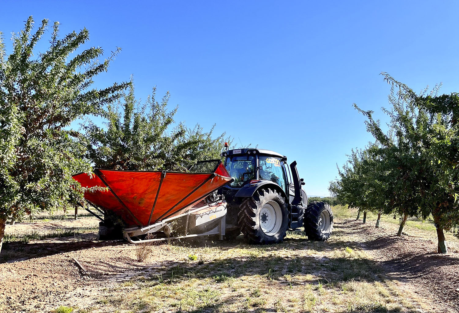 Der Valtra N155 mit TwinTrac-Rückfahreinrichtung arbeitete mit einem Mandelvollernter. Die geernteten Mandeln wurden auf einen Anhänger geladen.